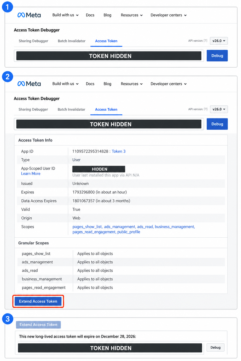 手动延长Token:粘贴并Debug,点击Extend Access Token,保存下方新Token